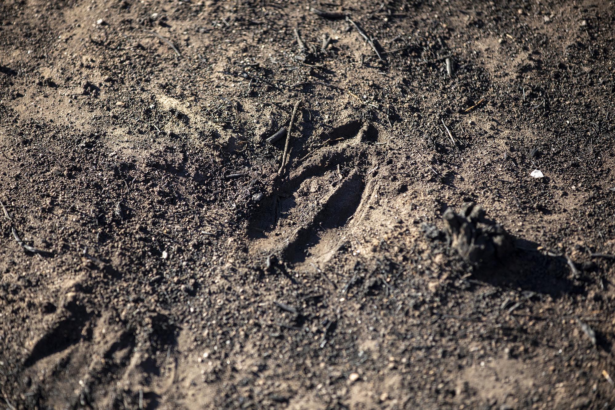 Geografía calcinada enfoques - 7